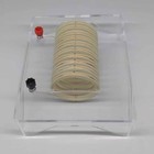 Magnetic Teaching Field Tool Physics Experiment Kit For Teachers Classroom