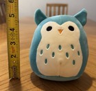 Squishmallows Kellytoy Winston Owl Turquoise Blue 5  Plush Toy 2018