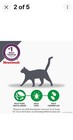 Cat Flea And Tick Treatment- Frontline Plus For Cats   Kitten 8 Weeks    6 Doses