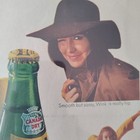 Canada Dry Wink 60s Original Print In Plastic Sleeve Advertising Art Page 11x14 