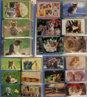 Japanese Telephone Cards Lot Of 236 Ntt 7-eleven 