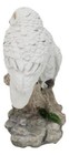 Tundra Forest Snow White Owls Couple Perching On Tree Branch Figurine 4 75 h