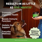 6 Billion Cfu Dog Probiotics With Prebiotics  Digestive Enzymes    Fiber - Relie