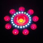 Chauvet Dj  Black  fxpar9 