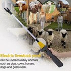 12000v Rechargeable Electric Shock Livestockcattle Prodder Stock Prod 31 50in