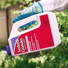 Bonide Insect Control Systemic Granules  4 Lbs ready-to-use Water Resistant