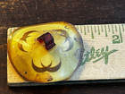 Vintage Curled Celluloid Bakelite Pressed Image Button Bb