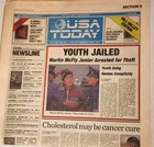Usa Today Back To The Future Part Ii Mcfly Youth Jailed Oct 22 2015 Newspaper