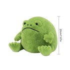 New Ricky Rain Frog Plush Frog Stuffed Toy  Green Frog Body  Soft Stuffed Gifts