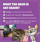 Premium Catnip Blend For Cats  100  Natural   Non-addictive  1 Cup 