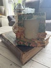 Teddy Bear Playful Photo Frame
