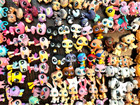 Littlest Pet Shop Toy Figures By Hasbro Lps Lot Cat Dog Pick Choose Collection