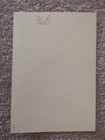 Elvis Presley Elvis In Concert Photo 1976 Rare Original Tcb