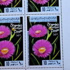 Libya 1979 - Mnh - 80 Stamps - 4 Sheets - Africa Arabic Flowers