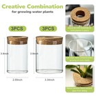 6pc Glass Plant Propagation Vases Set Hydroponic Water Rooting Planter Jars