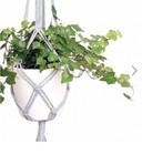 Make Market Macrame Hanging Basket Starter Craft Kit Diy Dona Bela Shreds Gray