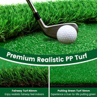 Golf Putting Green Indoor Outdoor Putting Matt Professional Training Mat Practic