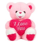 8in Teddy Bear Plush W  Red Heart I Love You Mother s Day Gift For Mom