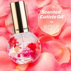 Blossom Cuticle Oil For Nails  Hydrating  Moisturizing  Scented Nail Oil Cuti   