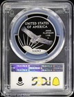 2017-w  100 Proof 1 Oz Platinum Eagle Pcgs Pr 69 Dcam   20th Anniv