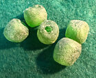  5  Large Old Huron Indian Venetian Green Glass Trade Beads Fur Trade Era