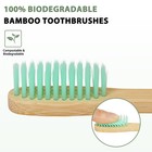 Tetragonal Tree 20 Count Bamboo Toothbrushes - Bpa Free Soft Bristles Natural   