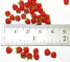 100 Dollhouse Miniature Tiny Strawberries   Doll Mini Food Set Fruit Wholesale