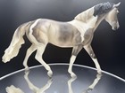 Peter Stone    sea Whisper    Pony Model Horse 2003 Dealer Special Run Of 100