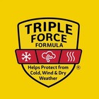  2 Pack  Carmex Classic Medicated Lip Balm Jar 3 Count Each     Long Lasting Moist