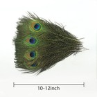 Peacock Feathers Bulk 12pcs  Small Eye  Vase Party Decoion  Green