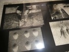 Vintage Film Negative Assorted Photos With Pig Collage Artwork 21x24 1 4 