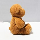 Baby Ty - My Baby Bear The Brown Teddy Bear  Mwmt Stuffed Animal Toy
