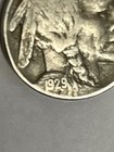 1929 S Buffalo Nickel Clear Date   Mint Mark Partial Horn San Francisco Mint