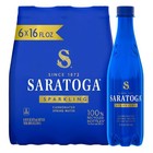 Sparkling Water Bottles  6-pack     Carbonated Spring Bottled Water     Recycled    
