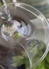 Rona Slovakia Cabernet Wine Crystal Glass Very Tall Over 10    Long Stem New