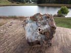 Awesome Old Stock Cut   Polished Petrified Wood Slab Hubbard Basin  Nv  hb10