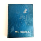 Antiquarian Albertville Highschool Mountaineer Yearbook Alabama 1961