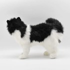 Hansa White Black Cat No 4221 Plush Stuffed Animal