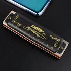 Harmonica Diatonic Key Of C a g 10hole Top Grade Professional Blues Harmonica