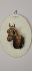 Vintage  Mens Clothing  Advertising  Sign  On Glass  With Horse   Chicago 