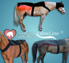 Glowline  Xl Red Light Therapy Blanket For Horses  53  X 28 