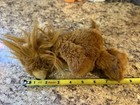 Ty Attic Treasures Lot Plush Stuffed Animal Zebra Lion Duck Elephant Cat