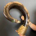 Vintage Big Shofar Horn Ram Buffalo Israel Rosh Hashanah Kippur Judaism Religion
