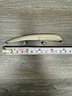 Raleigh Bikes Chrome Bicycle Fender Fin Cruiser