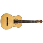 Peavey Delta Woods Cns-1 Classical Nylon String Guitar