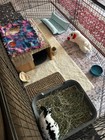 Handmade Fleece Bunny Cuddle Blankets - Various Sizes  Patterns   Colors