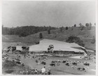 Uss Shenandoah Zr-1 Airship Wreck Crash 1925 Original Navy Photos 8x10 Pair