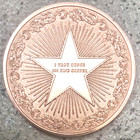 Lion   Lioness Coin  1 Troy Oz Bu Copper Round  999 Fine Bullion 3d Hi-relief Cb