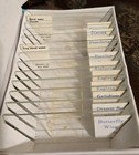 Vintage Lot Of 12 Prepared Microscope Slides