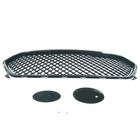 Carbon Fiber Front Upper Grille 2013-2019 Ford Taurus